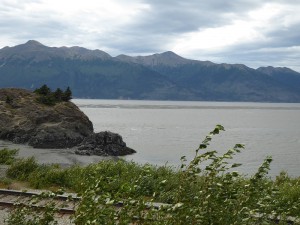 Ebbe im Turnagain Arm