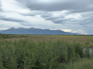 Potter Marsh
