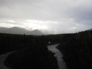 Liquid Sunshine