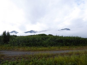 Nebel