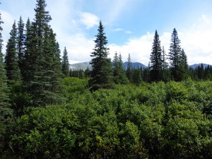 beeindruckende Landschaft