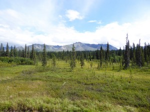 beeindruckende Landschaft