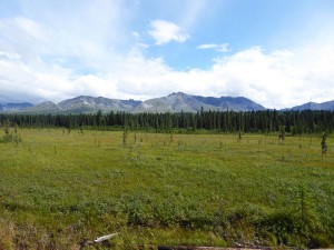 beeindruckende Landschaft