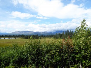 beeindruckende Landschaft