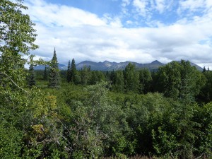 Bergketten und Wälder