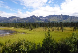 Bergketten und Wälder