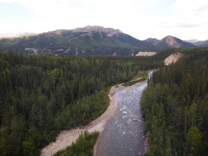 Nenana River