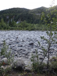 Nenana River Arm - ohne Wasser