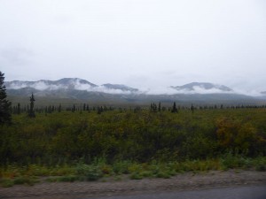 Nebel und Regen am Morgen