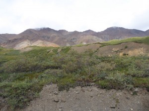 Berge am Toklat River