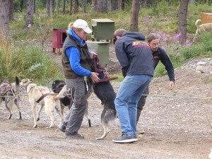 Aufregung beim Einspannen