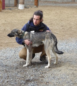 Sean mit einem der Hunde