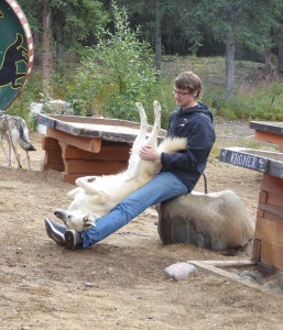 Husky-Yoga