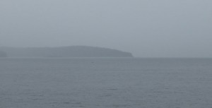 Orca-Suchbild (der schwarze Fleck in der Mitte)