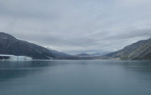 Margerie und Grand Pacific Gletscher