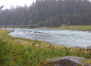 Chilkoot River