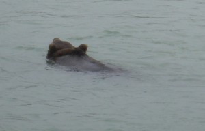 ab ans andere Ufer