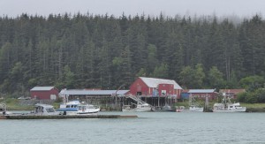 Fisch-Dosen-Fabrik