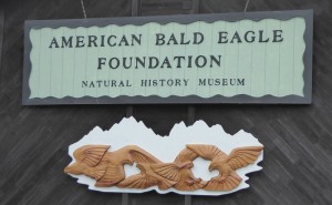 American Bald Eagle Foundation