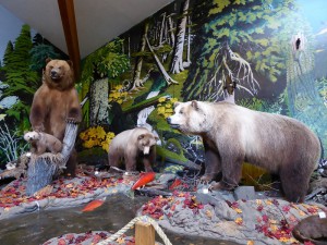American Bald Eagle Foundation