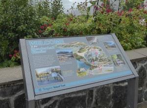 Mendenhall Glacier