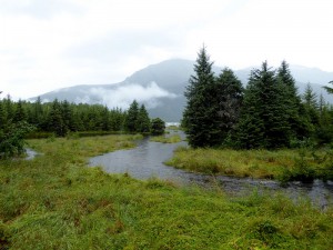 am Steep Creek