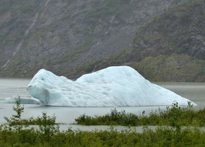Eisberg im Mendenhall Lake