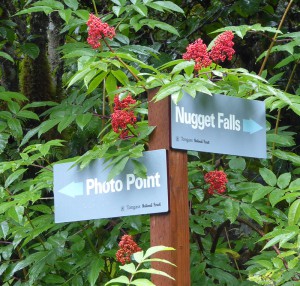 Photo Point und Nugget Falls Trail