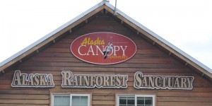 Alaska Rainforest Sanctuary