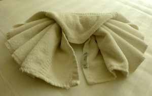 Handtuchtier