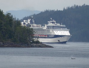 Orcas