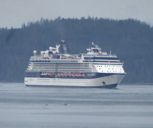 Orcas