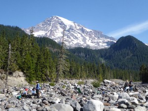 am Nisqually River