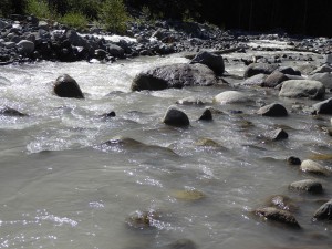am Nisqually River