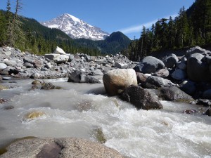 am Nisqually River