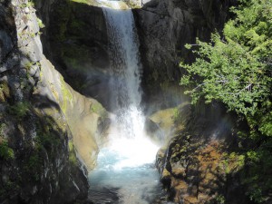 Christine Falls