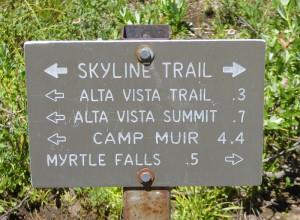 Myrtle Falls Trail