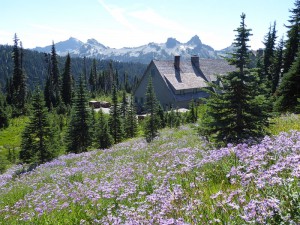 Myrtle Falls Trail
