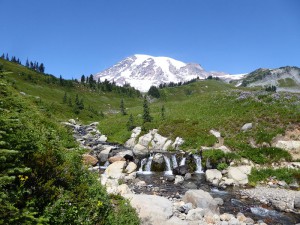 Myrtle Falls