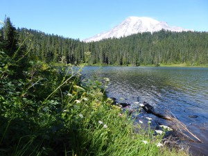 Reflection Lake