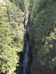Cougar Falls