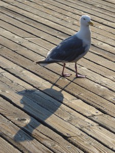 Waterfront