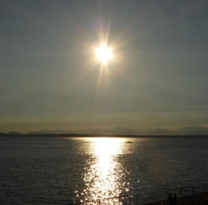 Olympic Sculpture Park