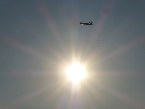 Olympic Sculpture Park