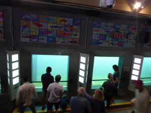 Viewing Room an der Fischtreppe