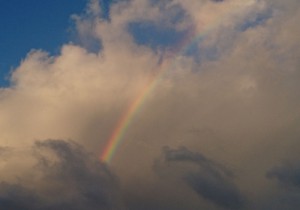 Regenbogen