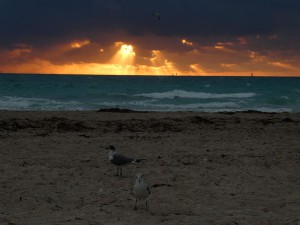 Miami Beach