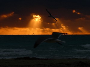 Miami Beach