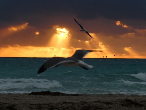 Miami Beach