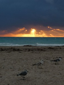 Miami Beach